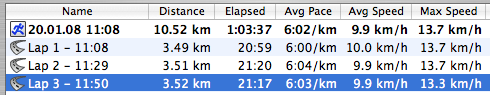 Laufen 20080120-Stats