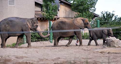 louisville_zoo_1.jpg