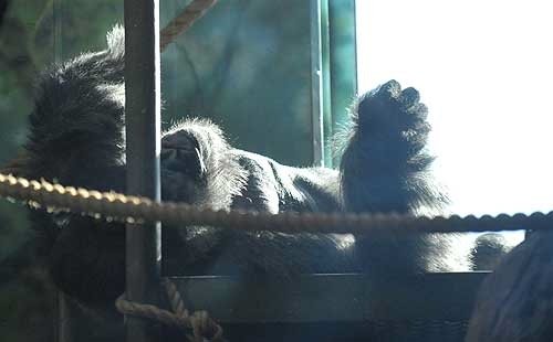 louisville_zoo_2.jpg