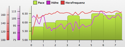 Laufen20091227.png