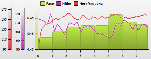 Laufen20091228.png