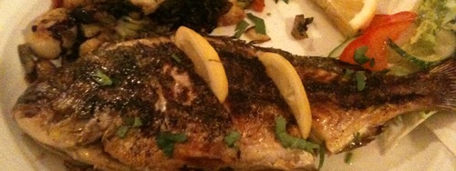 dorade-gegrillt.jpg